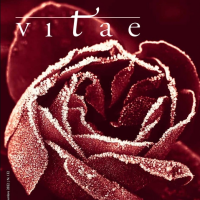 Vitae (n.35-12/2022) - Copertina