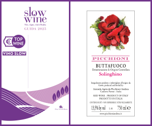 Slow Wine 2025 - Top Wine Vino Slow/Best Buy - Buttafuoco Solinghino 2023