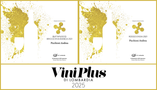 Viniplus AIS Lombardia 2025 - Riconoscimenti